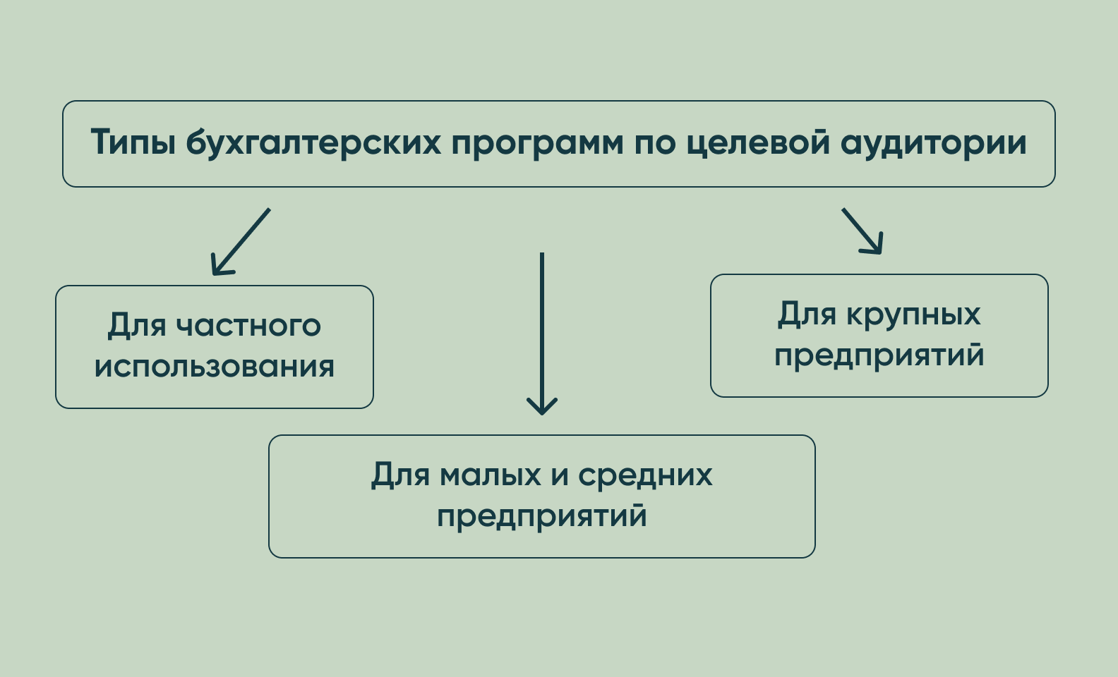 Диаграмма с типами бухгалтерских программ по целевой аудитории